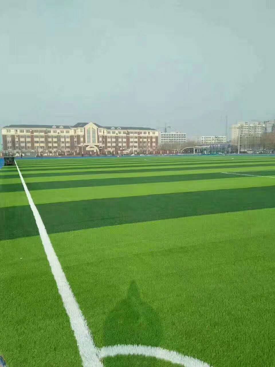 东沙群岛混合型塑胶跑道仿真草坪 - 推荐